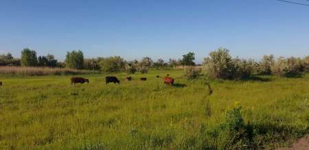 Рыбалка в июне не рыбалка...
