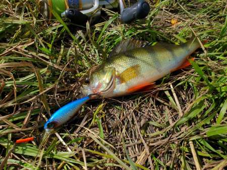 Рыбалка в июне не рыбалка...