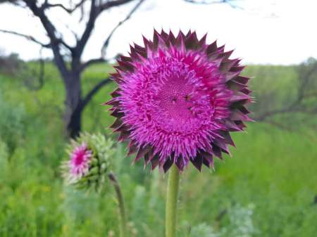 Рыбалка в июне не рыбалка...