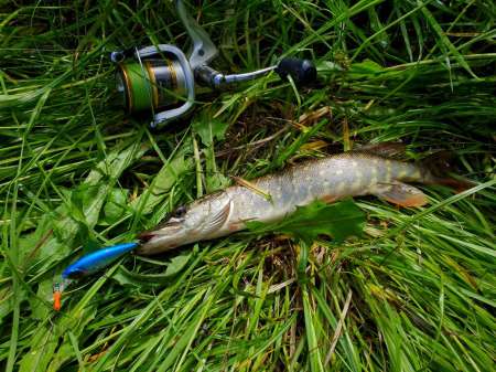 Рыбалка в июне не рыбалка...