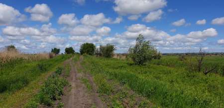 Рыбалка в июне не рыбалка...