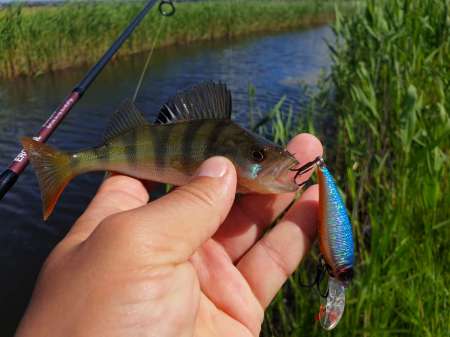 Рыбалка в июне не рыбалка...