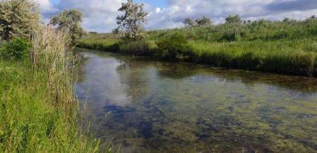 Рыбалка в июне не рыбалка...