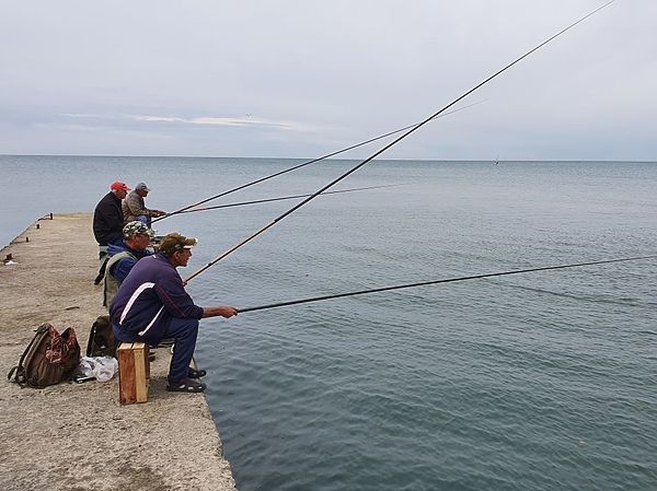 Секреты ловли кефали