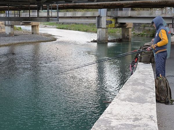 Секреты ловли кефали