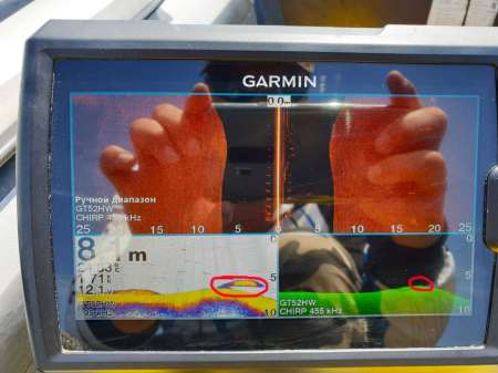 За судаком с эхолотом