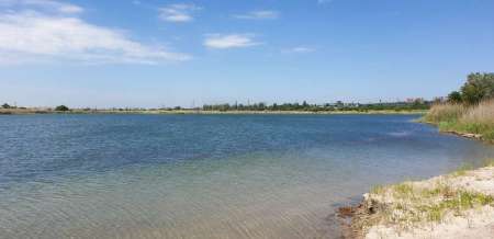 За судаком с эхолотом