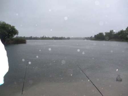 Жирная точка весеннего сезона