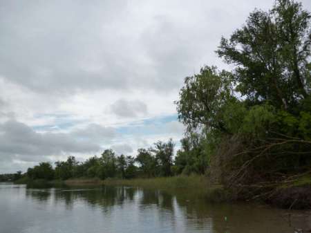 Жирная точка весеннего сезона