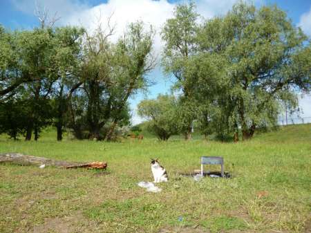 Жирная точка весеннего сезона