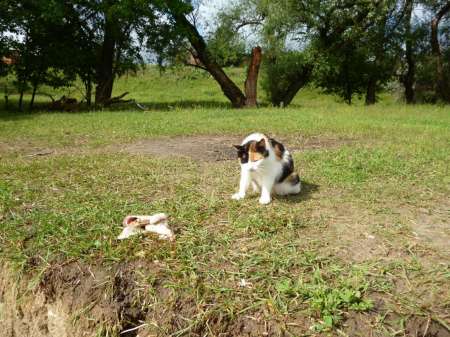 Жирная точка весеннего сезона