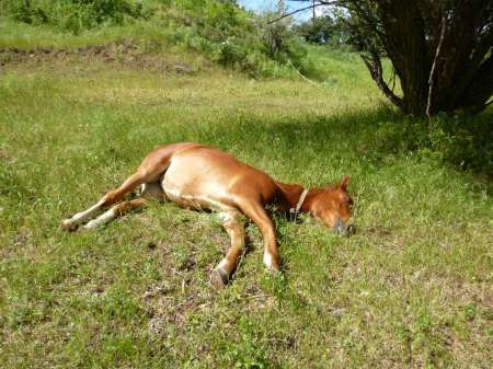 Жирная точка весеннего сезона