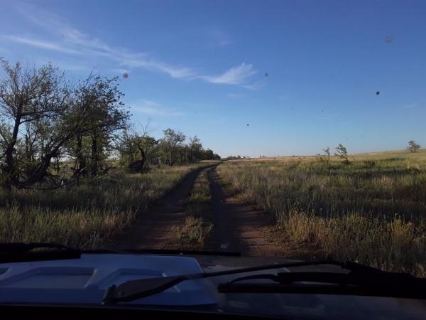 Открытие на сурка 2020