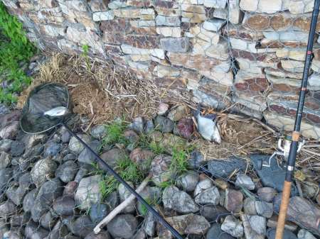 На подлещика в июле... Ловят бутерброды.