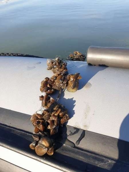 На реку с лодкой за лещом и сазаном