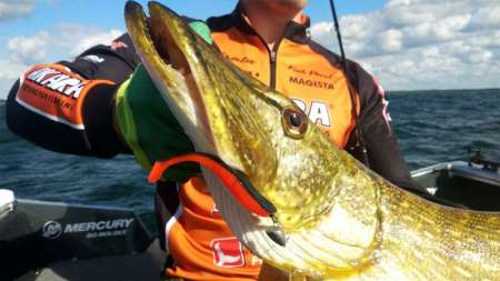 Огромная щука на ультралайтовый спиннинг