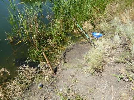 Отдых с маховой удочкой