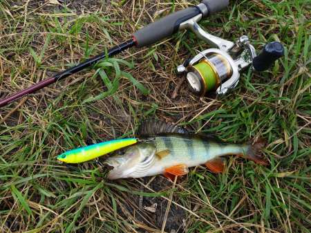 По заросшим местам