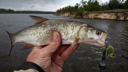 Рыбалка на большой реке