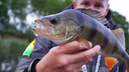 Рыбалка на большой реке