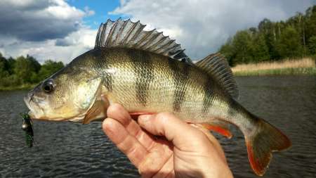 Рыбалка на большой реке