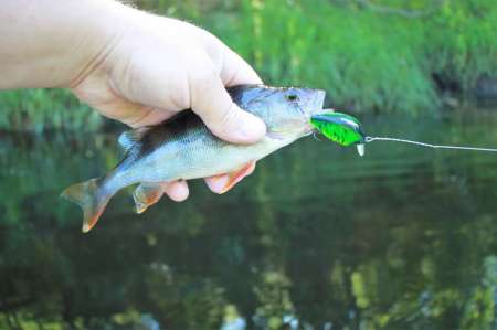 Рыбалка на реке в Новгородской области