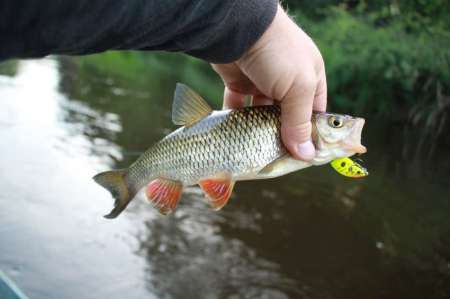 Рыбалка на реке в Новгородской области