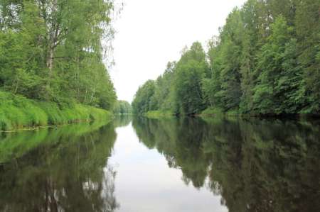 Рыбалка на реке в Новгородской области