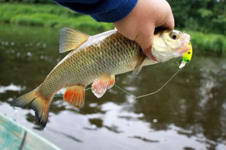 Рыбалка на реке в Новгородской области