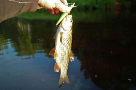 Рыбалка на реке в Новгородской области