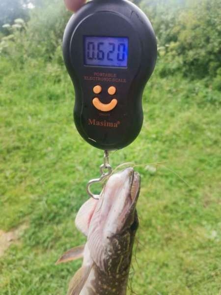 Щука сибирских лиманов