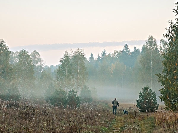 Sjogren — шведский феномен