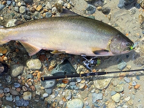 Спиннинг в чемодане