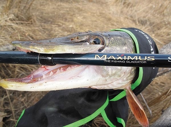 Спиннинг в чемодане