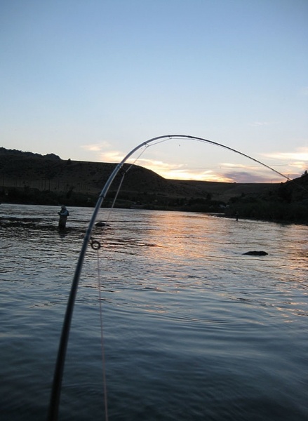 Спиннинг в чемодане