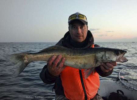 Судачили о судаках