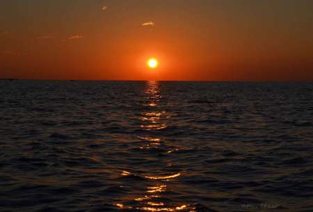 Судачили о судаках