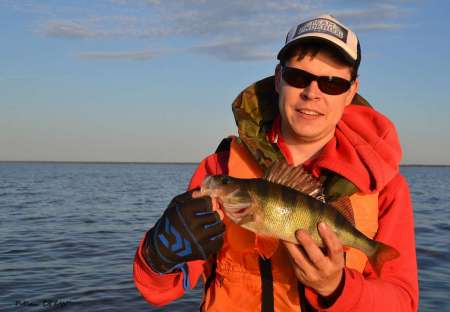 Судачили о судаках