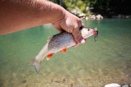 Трудовая рыбалка на горной реке