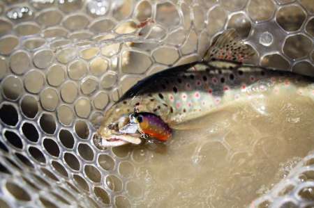 Трудовая рыбалка на горной реке