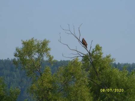 Утренняя рыбалка перед работой