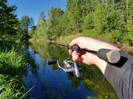 В поиске голавля на малой реке