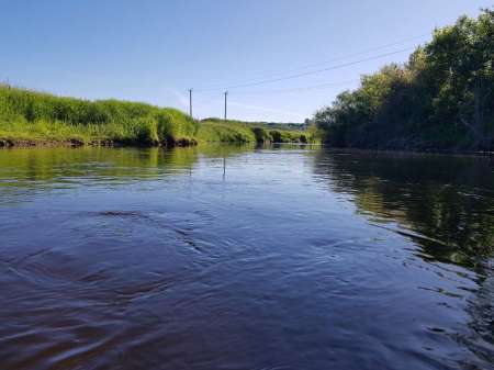 В поиске голавля на малой реке