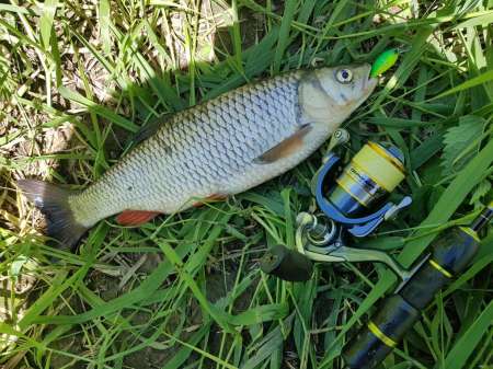 В поиске голавля на малой реке