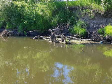 В поиске голавля на малой реке