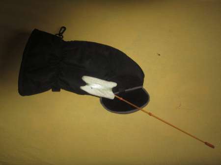 Вот он какой, северный медведь...