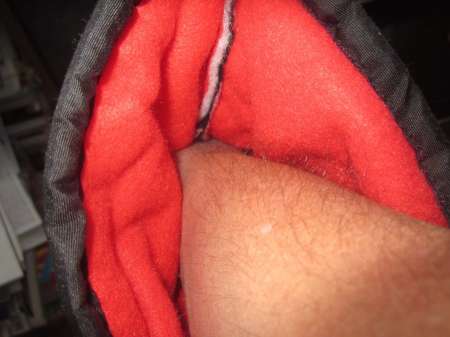 Вот он какой, северный медведь...