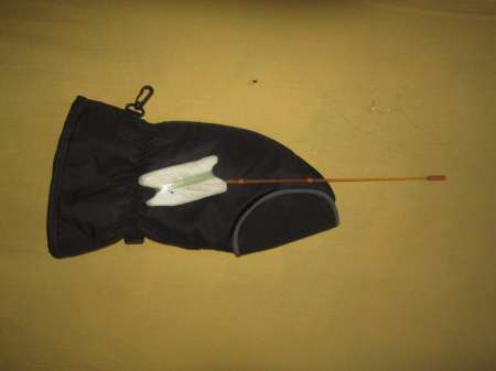 Вот он какой, северный медведь...