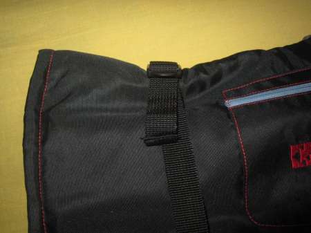 Вот он какой, северный медведь...