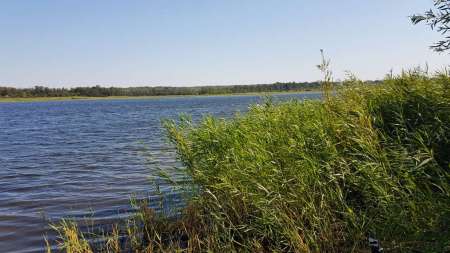 За лещом. В гостях у родни!